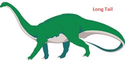 Long Tail Keywords
